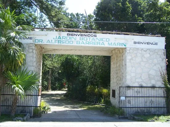 Jardin Botanico Dr. Alfredo Barrera Marin