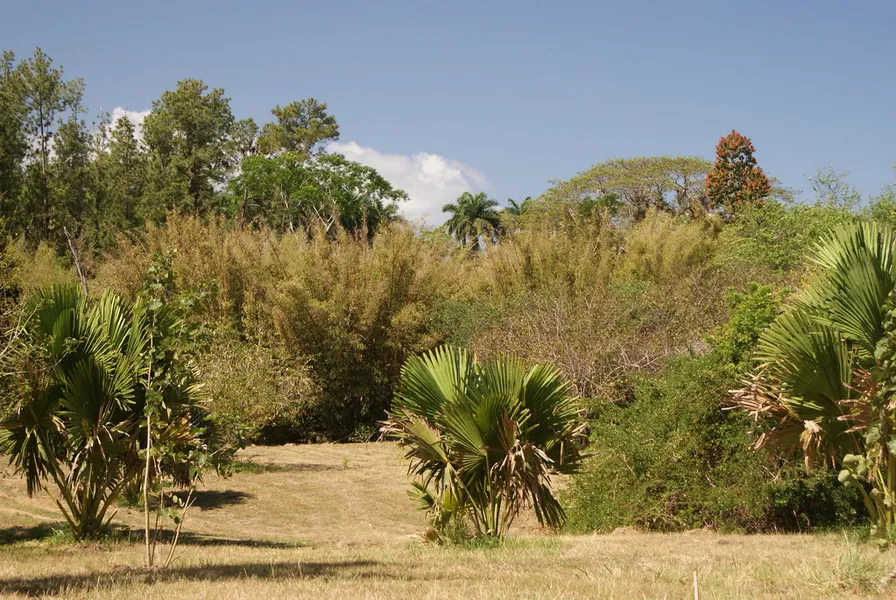 Jardin Botanico Soledad