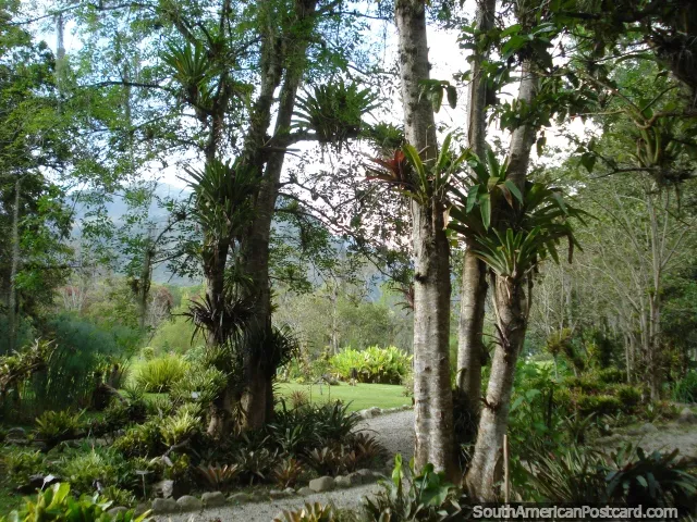 Jardin Botanico de Merida