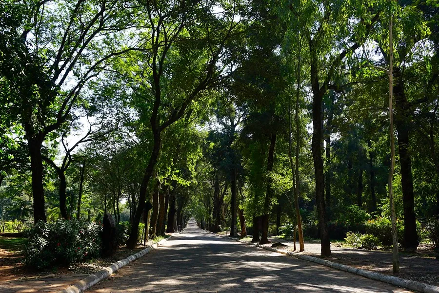 Jardin Botanico y Zoo