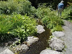 Jardin Botanique Roger-Van den Hende