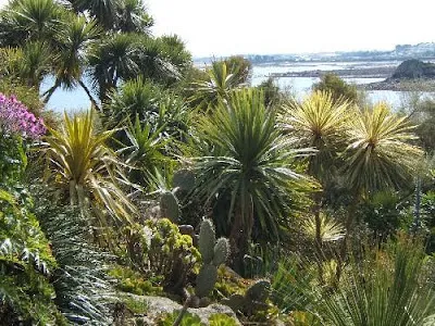 Jardin Exotique de Roscoff