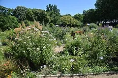 Jardin botanique de l'Université de Strasbourg