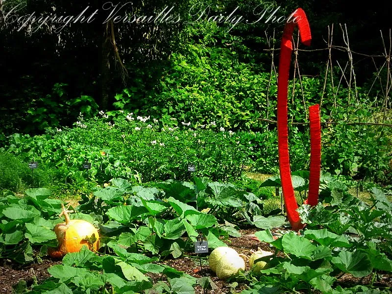 Jardin de l'Abbaye