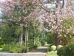 Jardin des Plantes