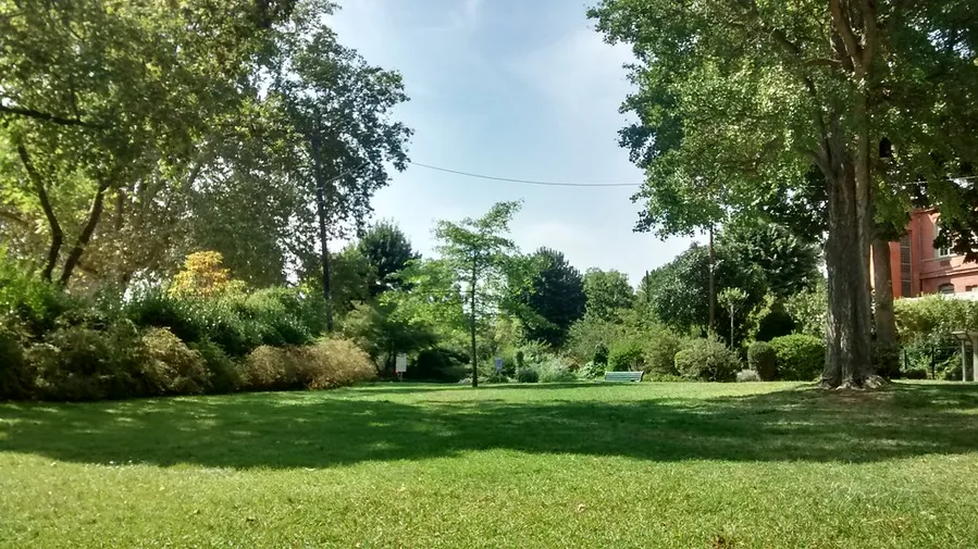 Jardin des Plantes