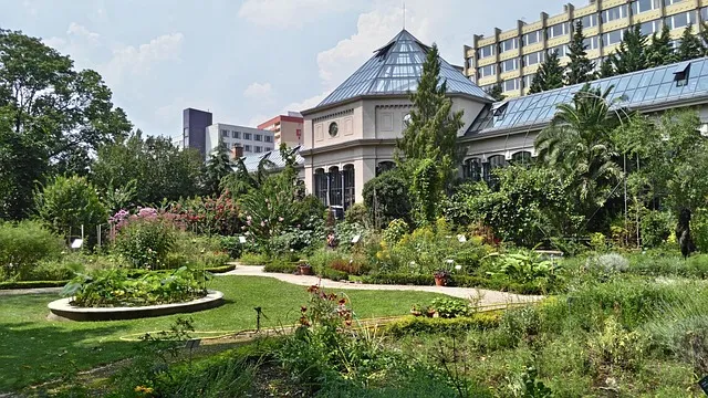 Jardin des Plantes d'Angers
