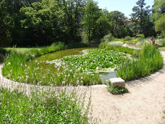 Jardin des Plantes de Montpellier