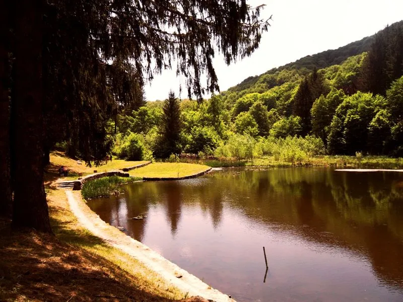 Jastrebac Mountain