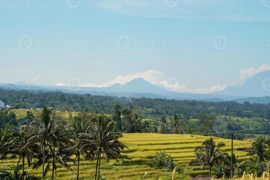 Jatiluwih Rice Terraces