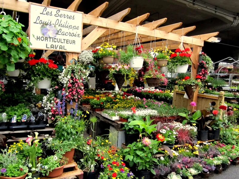 Jean-Talon Market