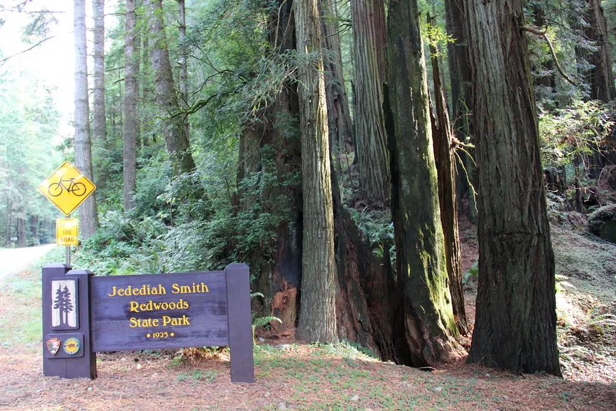 Jedediah Smith Redwoods State Park