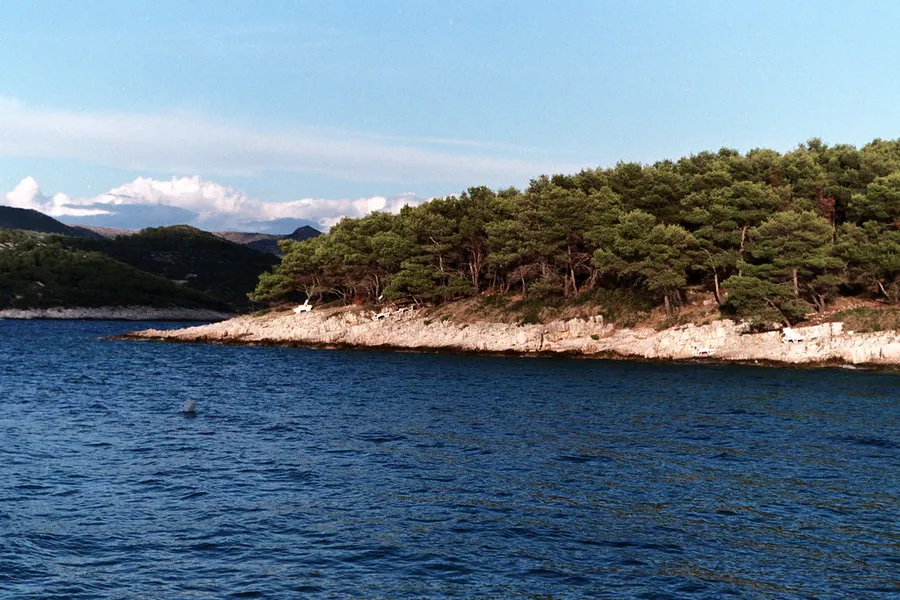 Jerolim Island