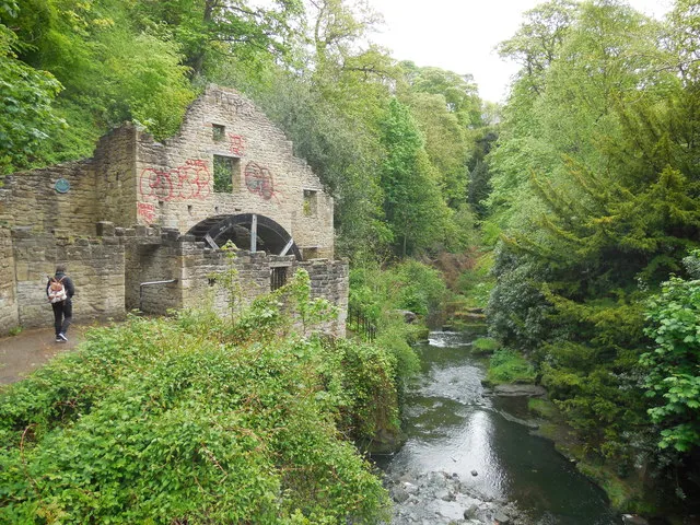 Jesmond Dene
