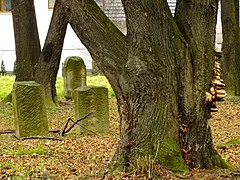 Jewish Cemetery