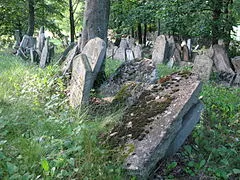 Jewish Cemetery in Slavonice