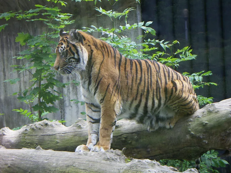 Jihlava Zoo