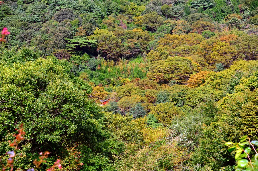 Jirisan National Park
