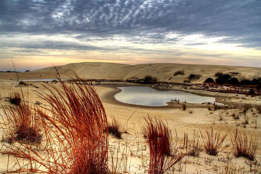 Jockey's Ridge State Park