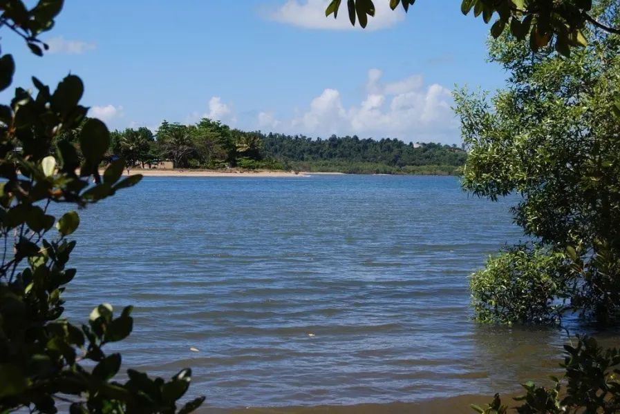 Johnstone River