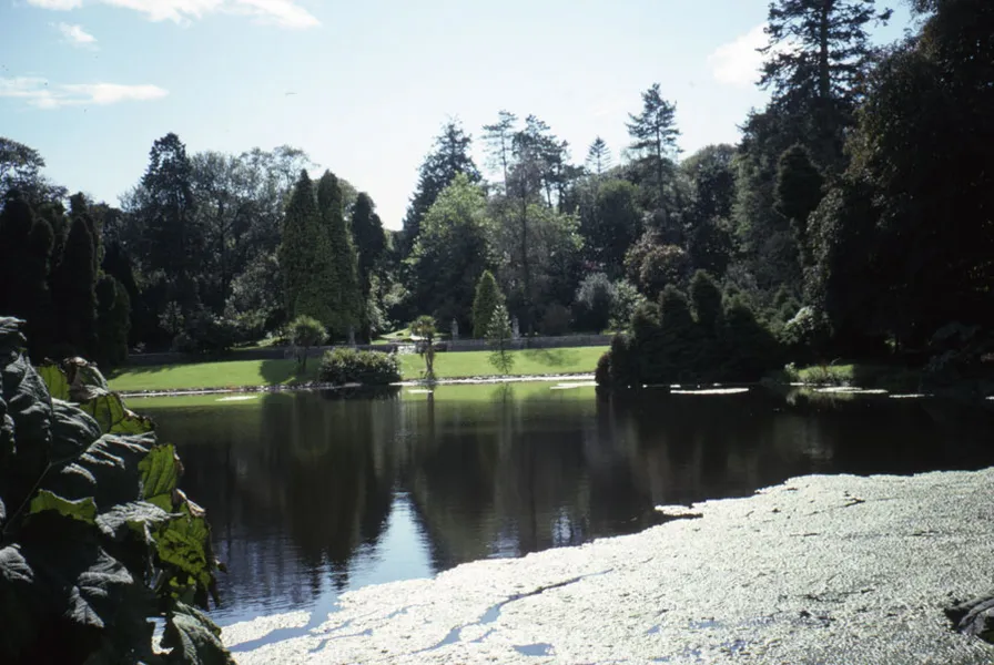 Johnstown Castle, Estate, Museum & Gardens