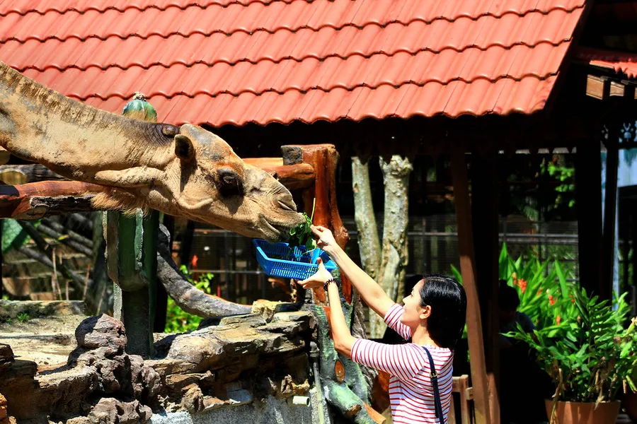 Johor Zoo