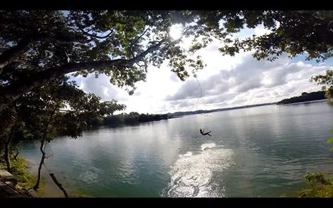 Jorge's Rope Swing