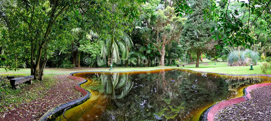 José do Canto Botanical Garden