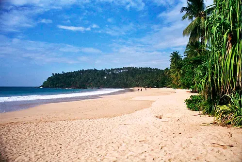 Jungle Beach