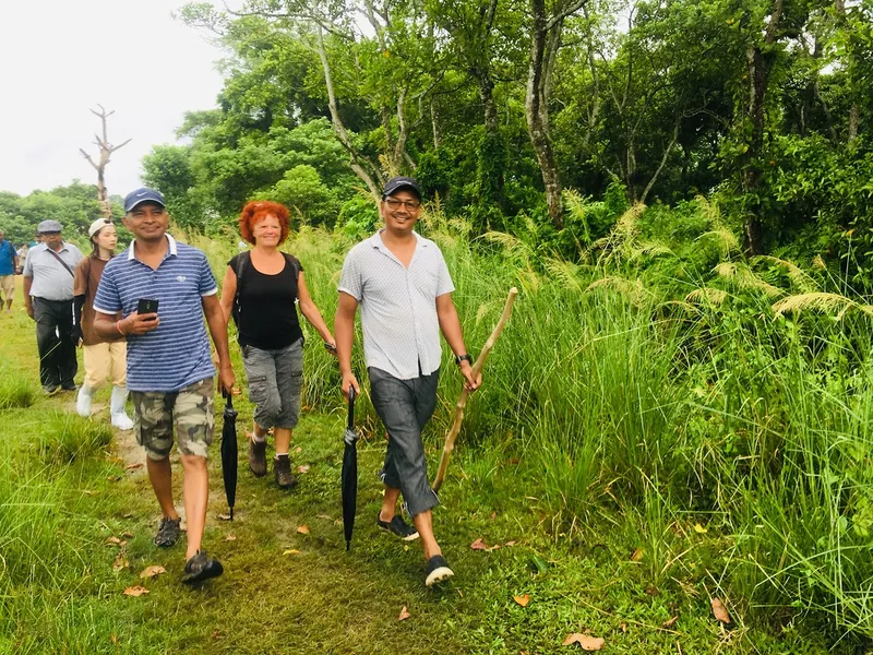 Jungle Walk