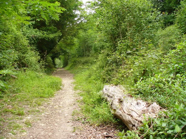Juniper Hill Park