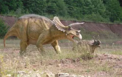 JuraPark Krasiejów