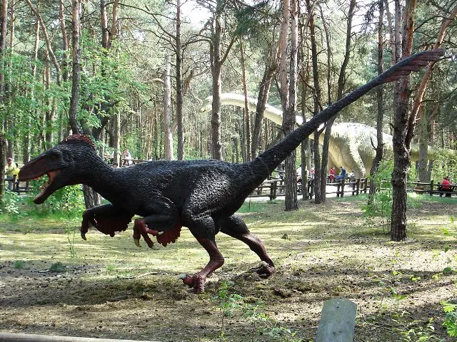 JuraPark Solec