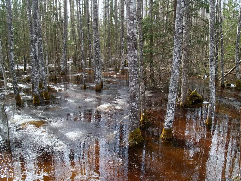 Kõpu Nature Center