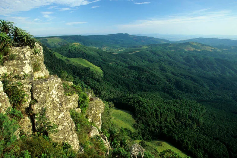 Kaapsehoop Art Route