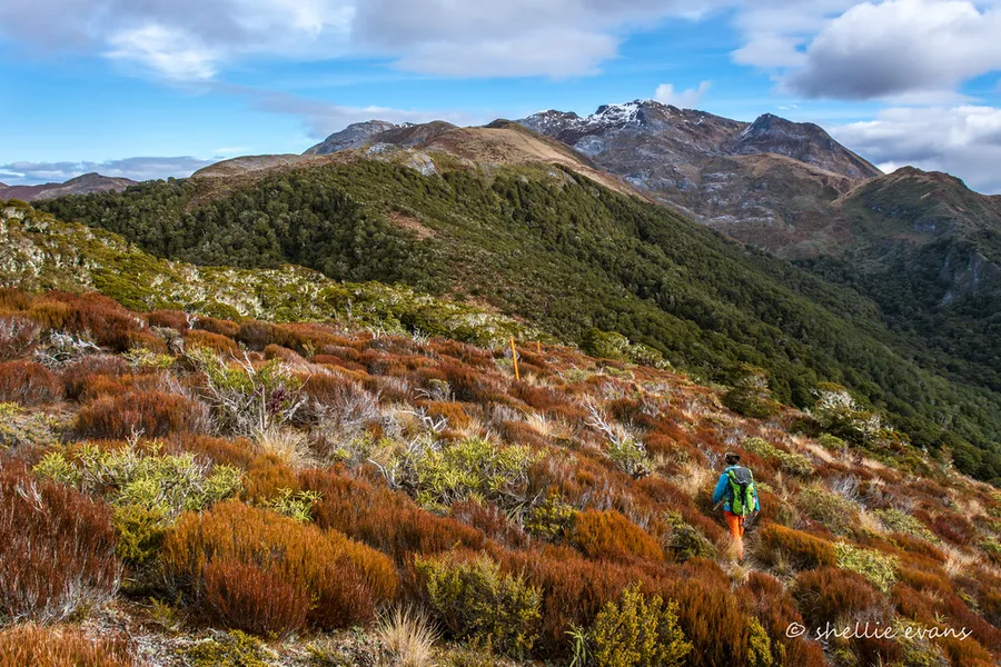 Kahurangi National Park