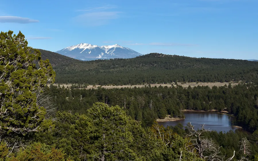 Kaibab National Forest