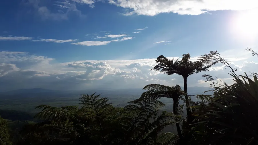 Kaimai Mamaku Forest Park