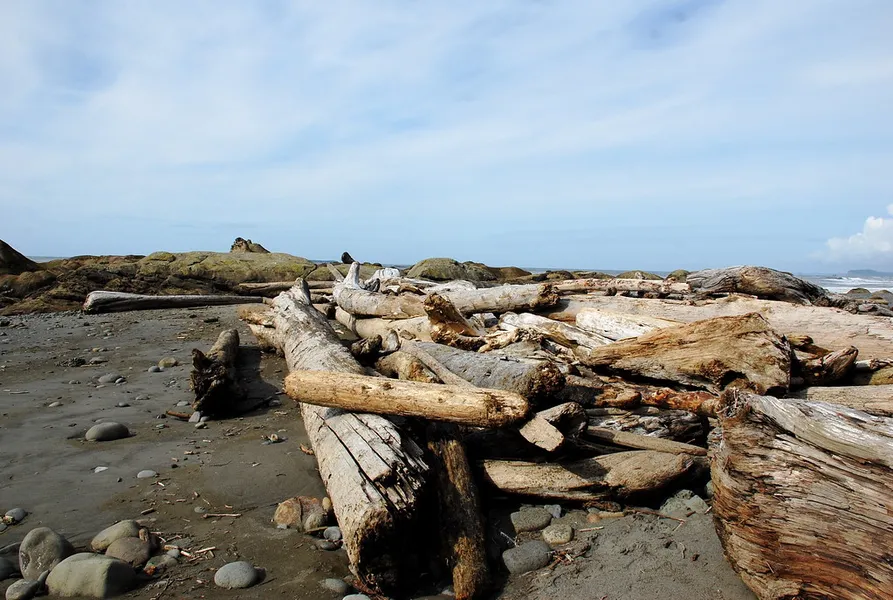 Kalaloch Beach 4