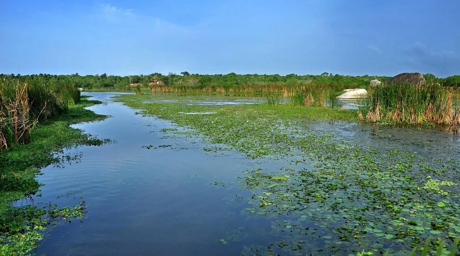 Kalametiya Bird Sanctuary