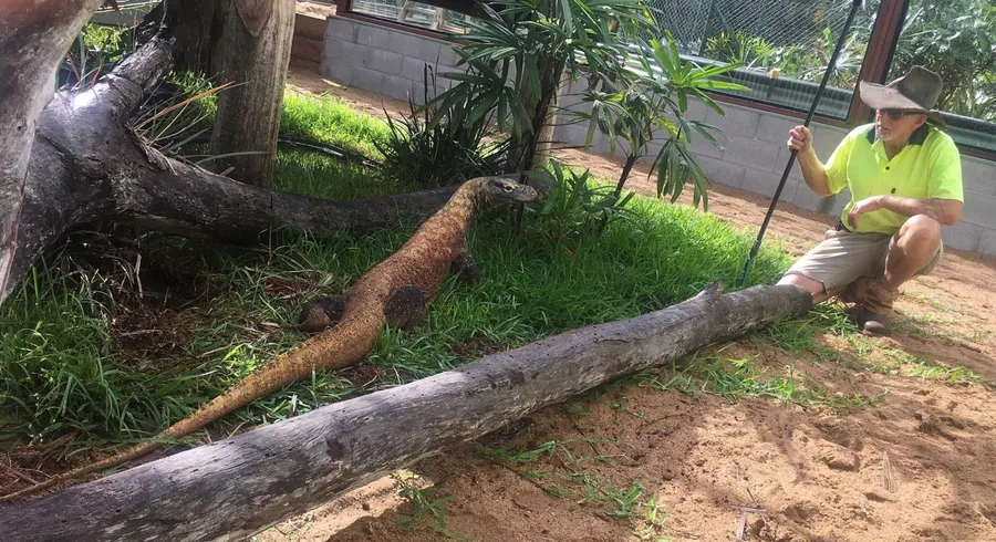Kalimba Reptile Park