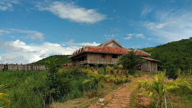 Kampot Pepper Plantations