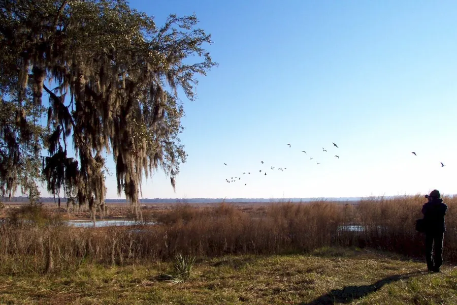 Kanapaha Prairie Preserve