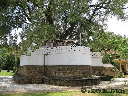 Kandy Garrison Cemetery
