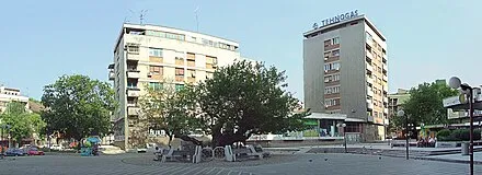 Karađorđev Dud