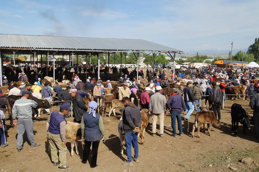 Karakol Animal Market