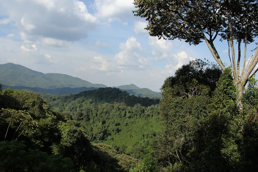 Karamba Birding Trail