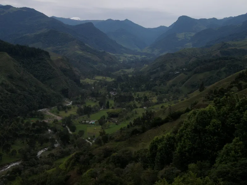 Kasaguadua Natural Reserve