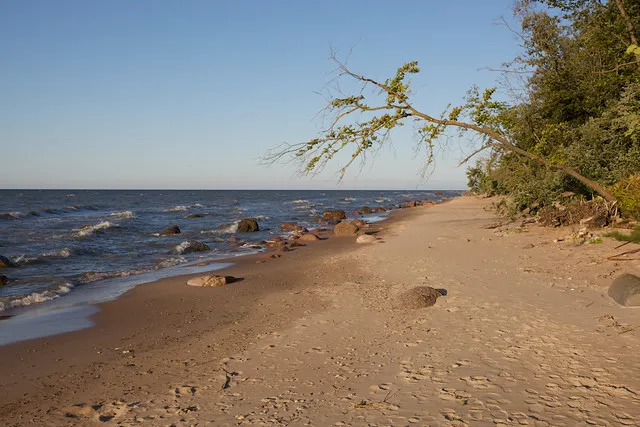 Kauksi Beach