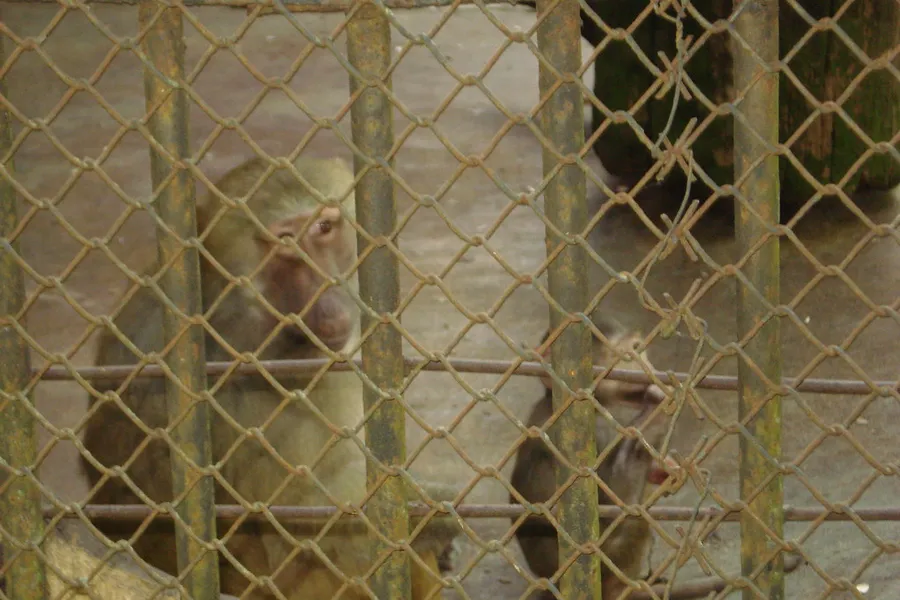 Kaunas Zoo